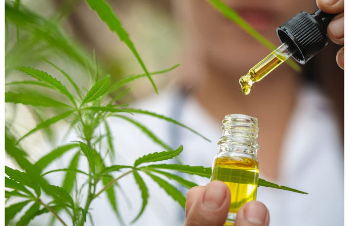 De meest gestelde vragen over CBD