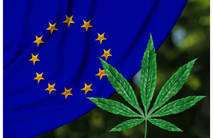 Hennepproductie in Europa: Frankrijk nog steeds nummer 1!