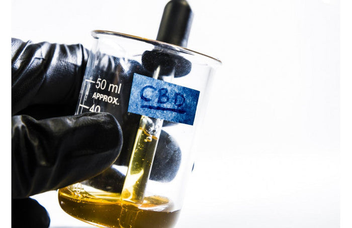 Wat is CBD-olie?