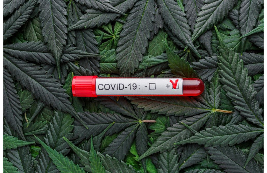 Coronavirus: Amerikanen wenden zich tot CBD om hun stress te beheersen