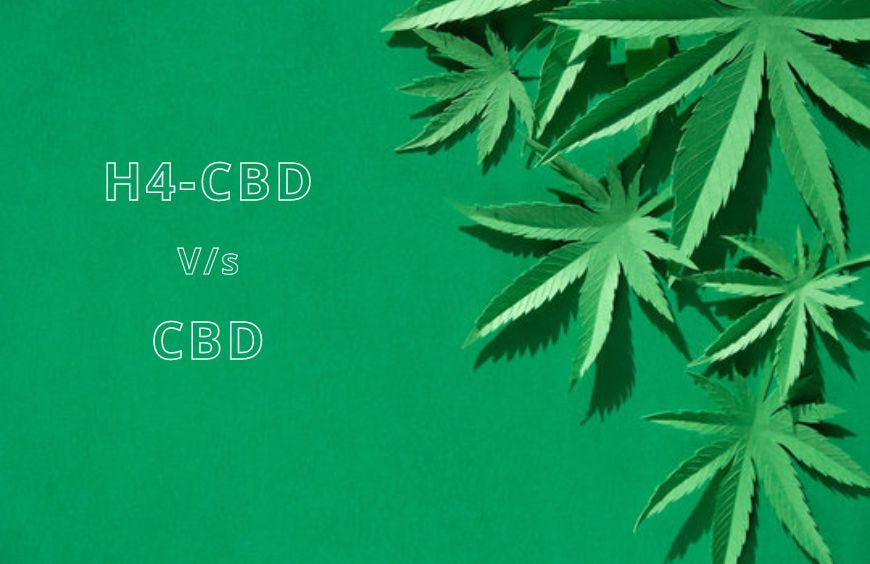 H4CBD en CBD: welke moet je kiezen?