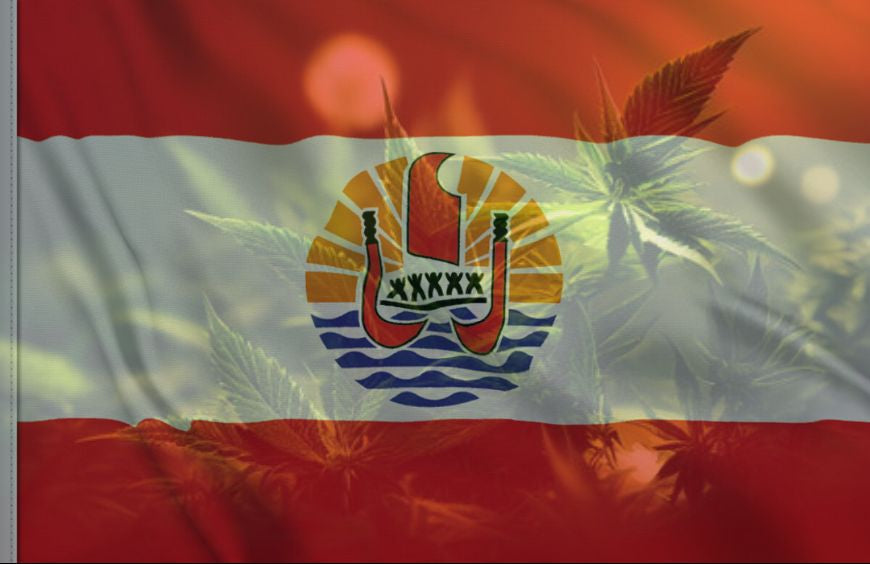 Wat als Polynesië de weg zou vrijmaken voor Frankrijk om cannabis te legaliseren?