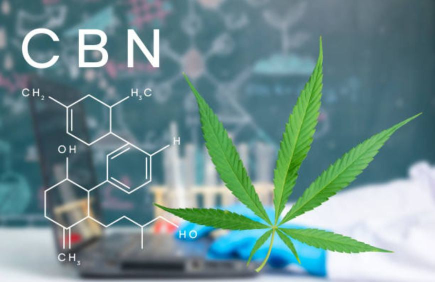 Beginners: hoe begin je met CBN?