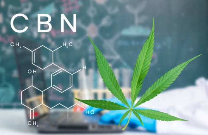 Beginners: hoe begin je met CBN?