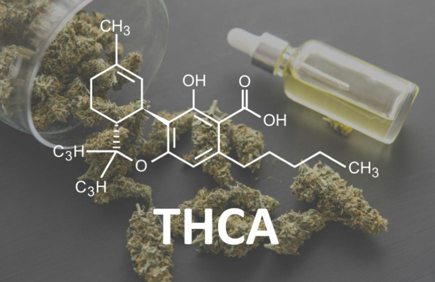 Wat is THCA?