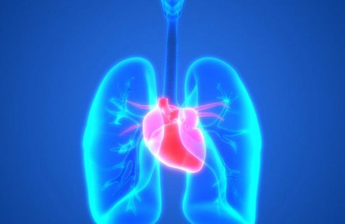 Pulmonale hypertensie: op weg naar een oplossing met CBD?