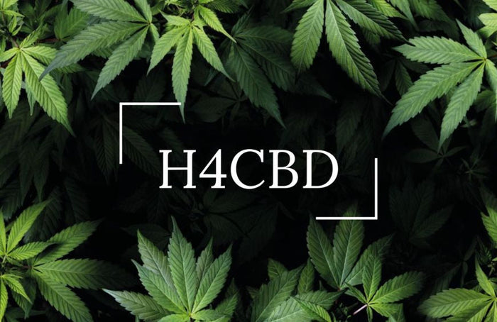 H4CBD: wat zijn de voordelen van deze nieuwe cannabinoïde?