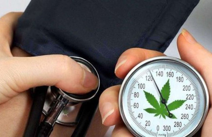 Heeft CBD invloed op de bloeddruk?