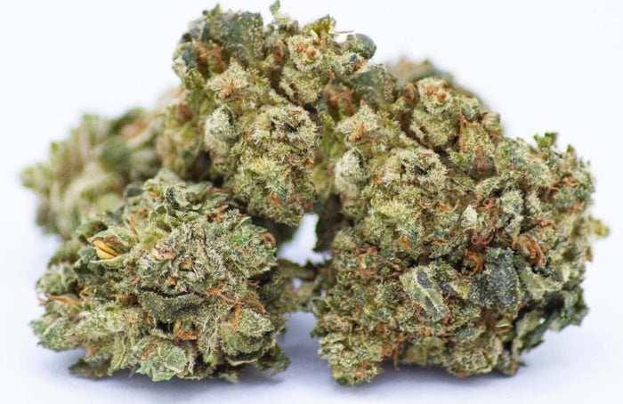 Waarom varieert de prijs van CBD-bloemen zo sterk?