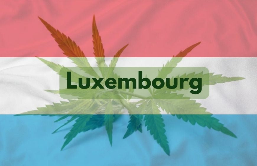 Luxemburg zet langzaam stappen in de richting van legalisering van cannabis