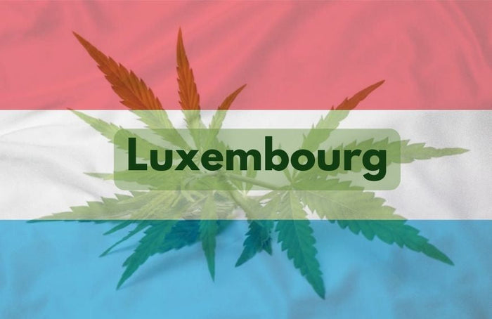 Luxemburg zet langzaam stappen in de richting van legalisering van cannabis