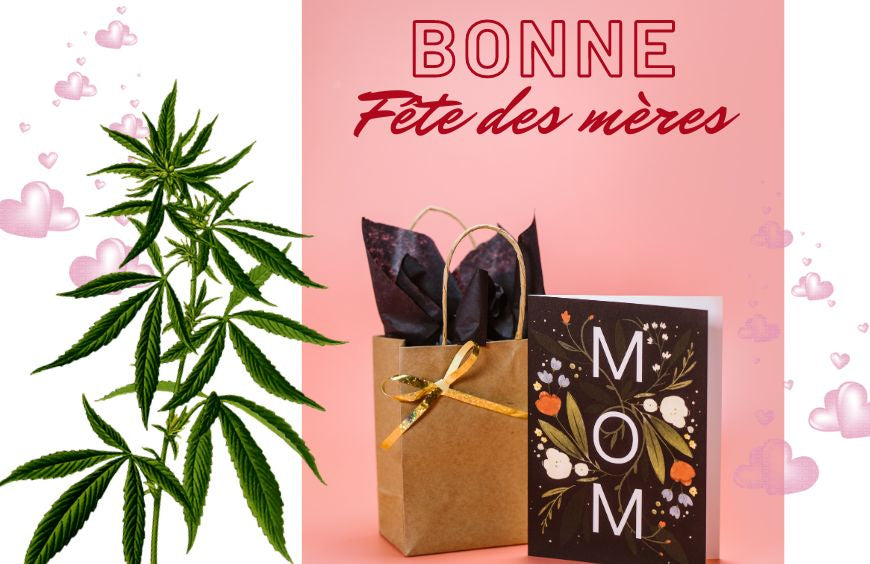 4 goede redenen om CBD cadeau te doen voor Moederdag