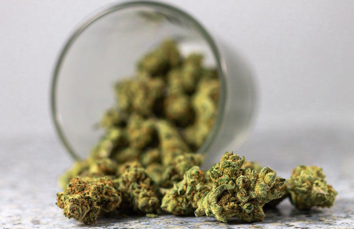 Alles wat u moet weten over THCP