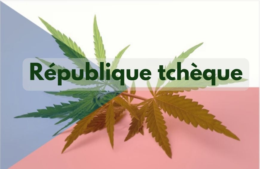 Tsjechië zet stappen in richting legalisering van cannabis