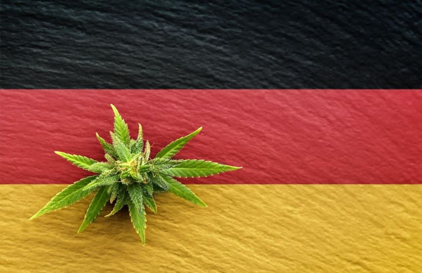Duitsland herziet zijn verwachtingen over de legalisering van cannabis