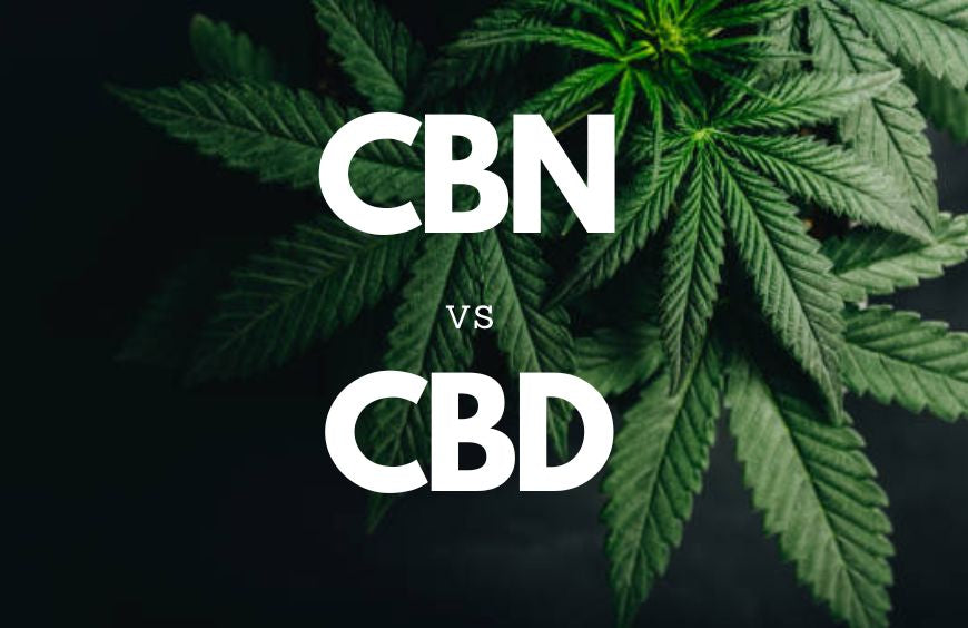 CBN vs CBD: alles wat u moet weten