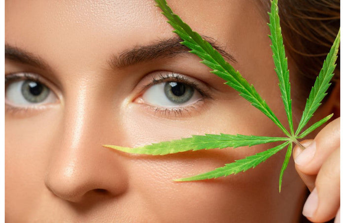CBD: het nieuwe ster-ingrediënt in cosmetica
