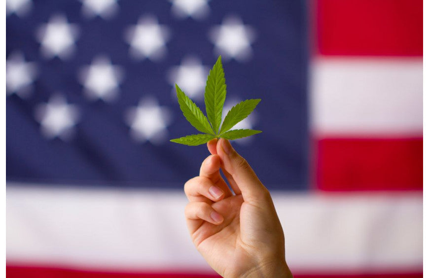 VS: THC-gehalte van hennep verhoogd tot 1% in Minnesota