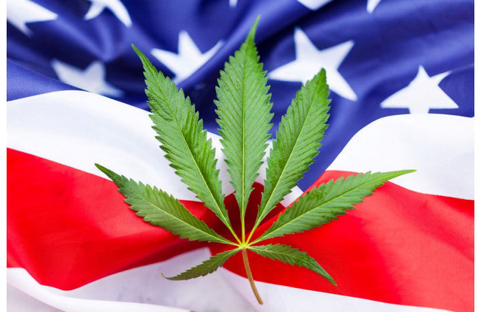 Twee derde van de Amerikaanse artsen voorstander van medicinale cannabis