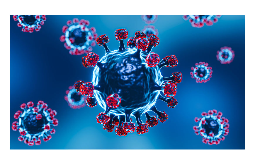 CBD en COVID: de wonderoplossing om ontstekingen en angst te verminderen?