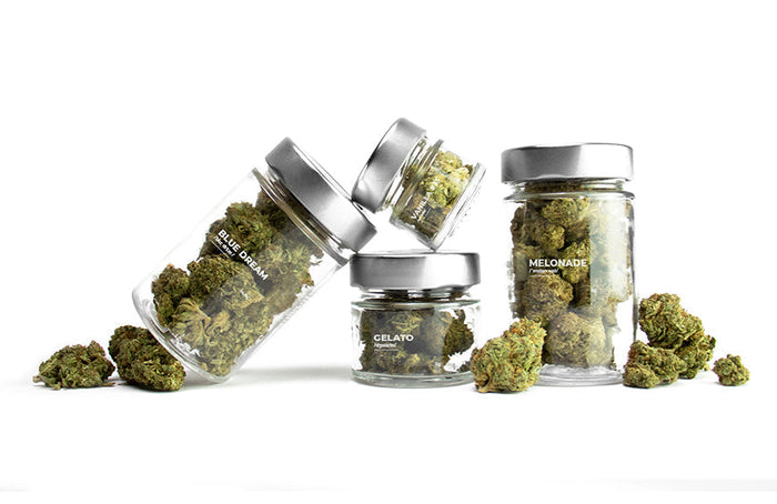 TOP 6 van best verkochte CBD-bloemsoorten van het jaar