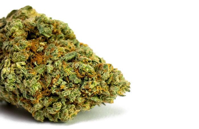 Waar komt de kenmerkende skunkgeur van cannabis vandaan?