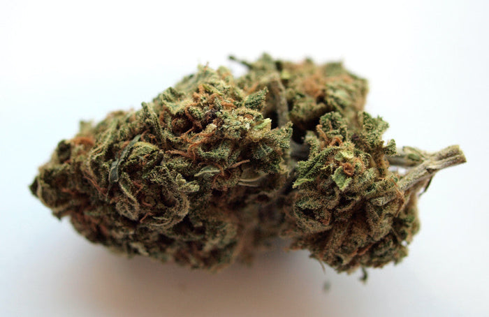 De Raad van State spreekt zich uit voor CBD