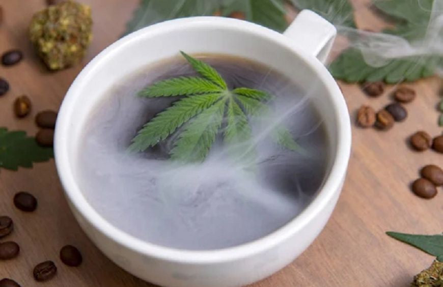 Hoe maak je een CBD-thee?