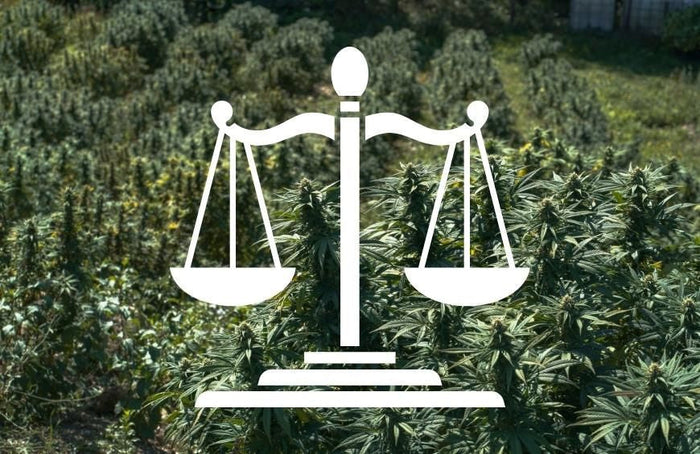 CBD in de belangrijkste landen: legaal of illegaal?