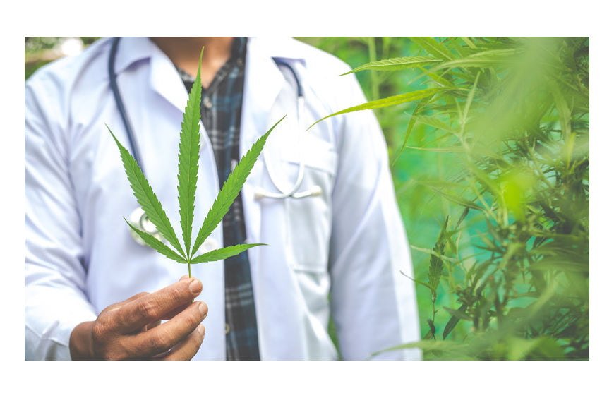 CBD en gezondheid: zijn er contra-indicaties?