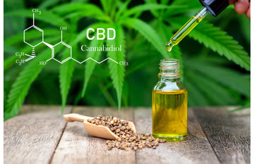 Hoe werk je in de CBD?