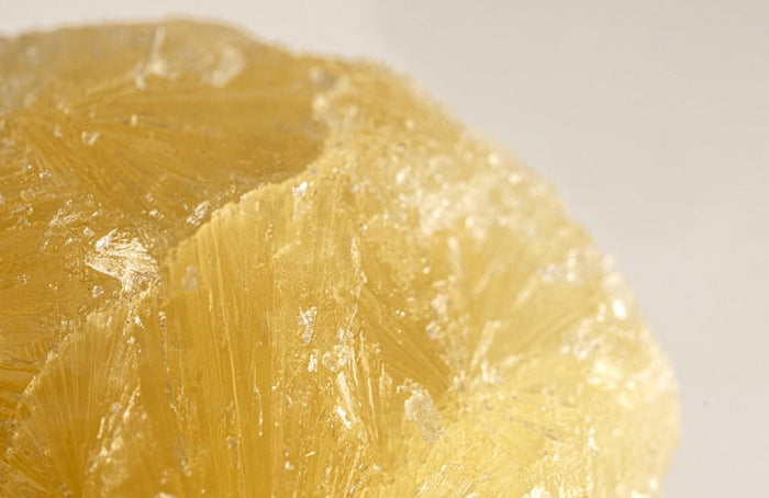 Gebruik van CBD-extracten: wat moet u onthouden?