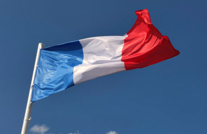 Presidentsverkiezingen 2022 en cannabis: wat vinden de kandidaten ervan?