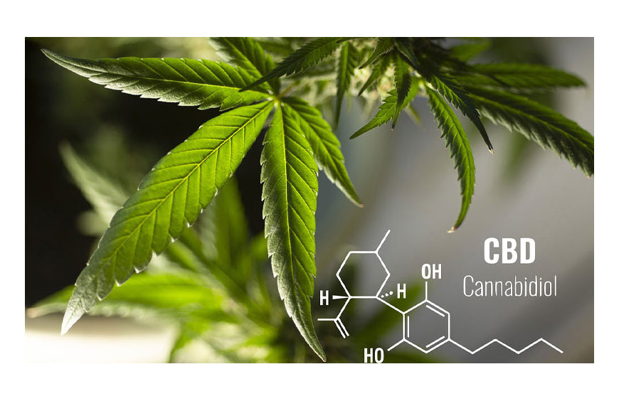 Hoe werken CBD-verdampers met geleiding en wat zijn hun voordelen?