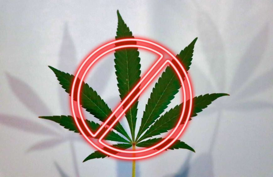 Wat zijn de contra-indicaties voor CBD?