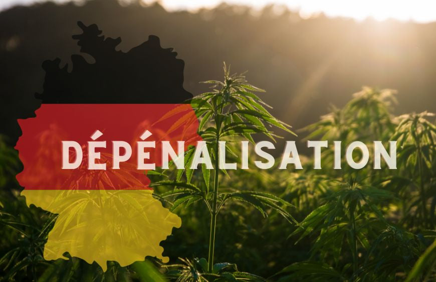 Duitsland zet een stap dichter bij de legalisering van cannabis