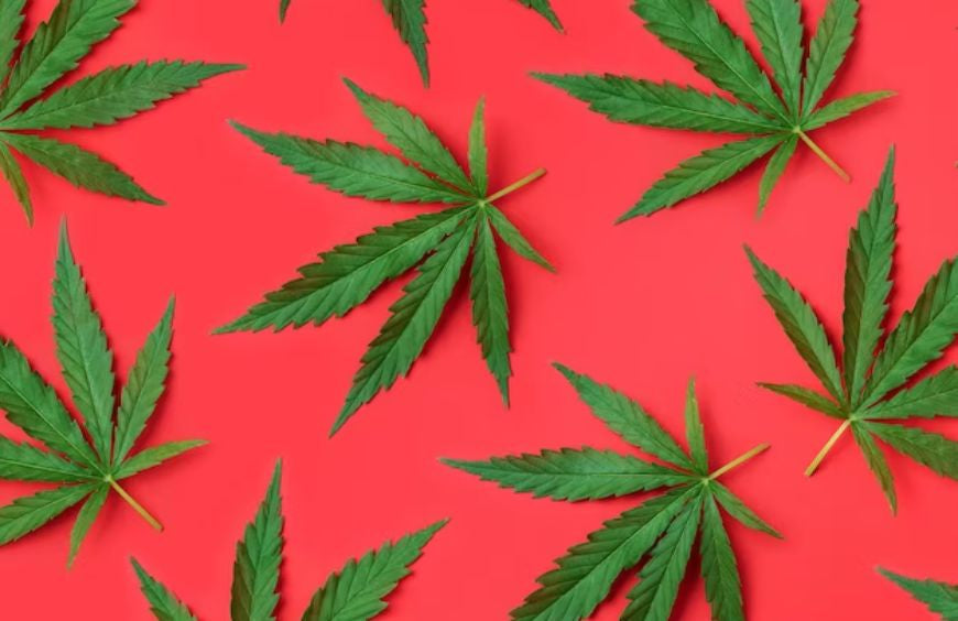 Hennepbladeren zouden antioxiderende eigenschappen hebben!