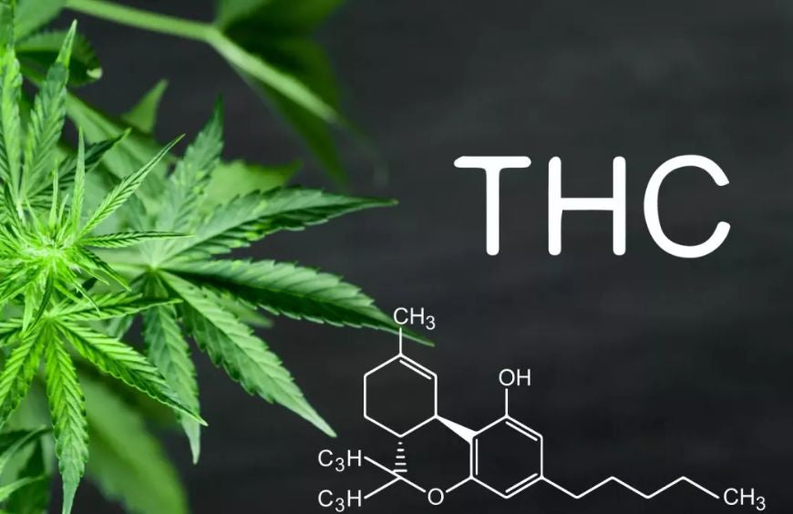 Is het THC-molecuul verantwoordelijk voor cannabisverslaving?