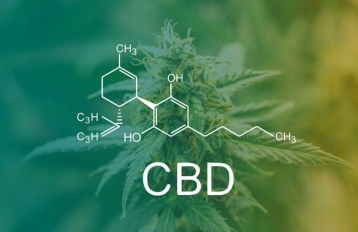 Alle vragen die u zich stelt voordat u CBD gaat gebruiken