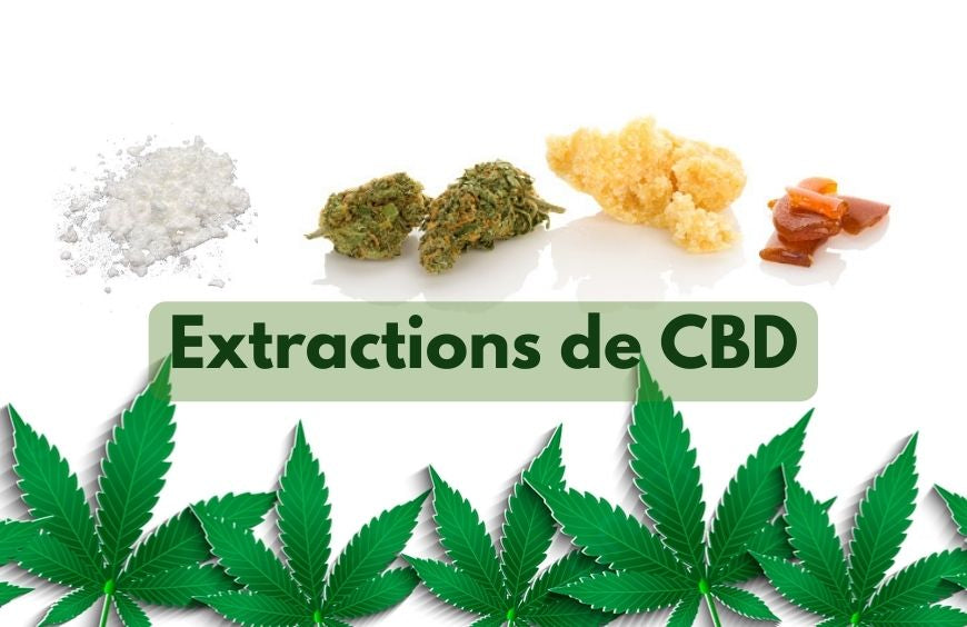 Waarvoor dienen CBD-extracten?