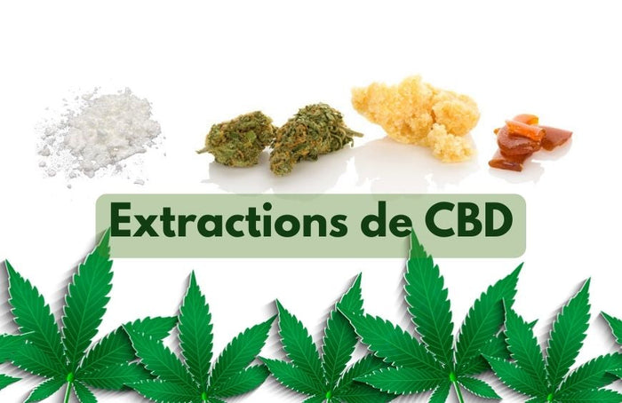 Waarvoor dienen CBD-extracten?