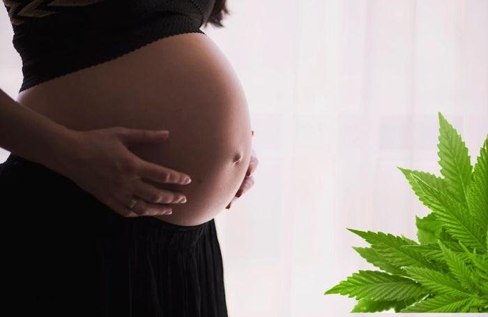 Wat is de invloed van cannabis op een zwangerschap?