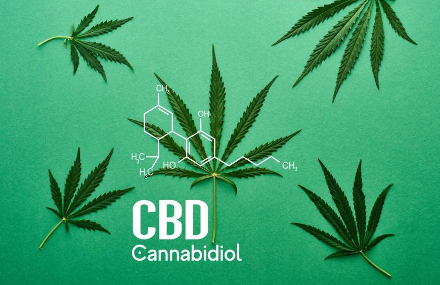 CBD in de schijnwerpers: inzicht in de groeiende populariteit ervan