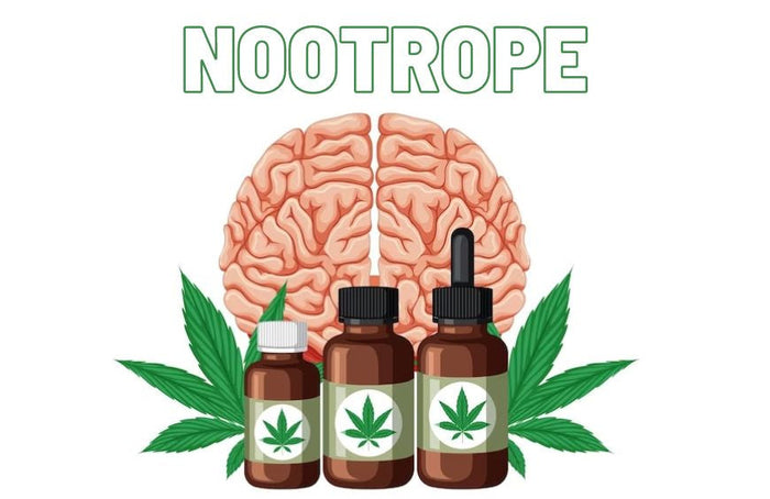 Is CBD een noötropicum?