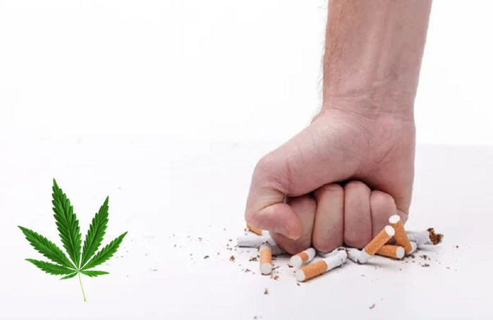 CBD: een hulpmiddel om te stoppen met roken volgens een nieuwe studie