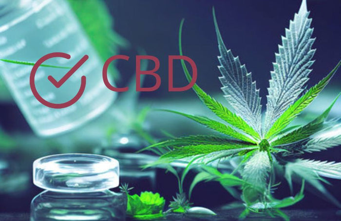 Wat is de meest effectieve CBD?