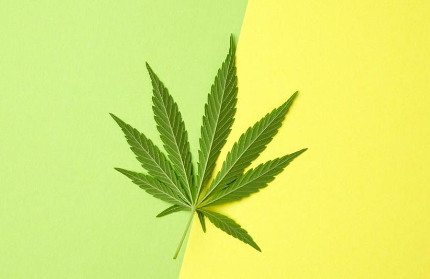 HHC en THC, wat zijn de verschillen?