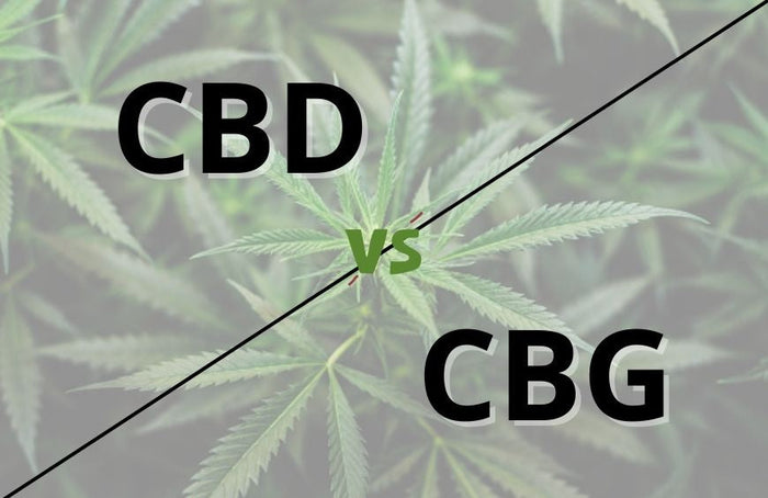 CBD of CBG: welke moet je kiezen?