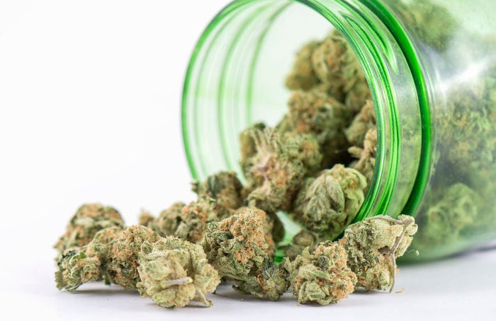 Wat is de krachtigste CBD-bloem om te roken in 2025?