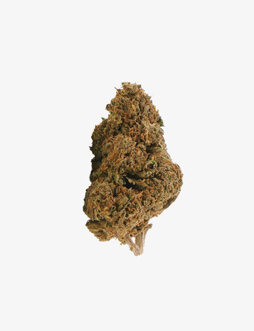 🎁 Jack Herer CBD (100% korting)